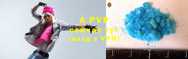 индика Краснотурьинск