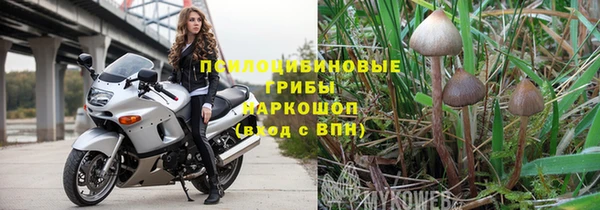 индика Краснотурьинск