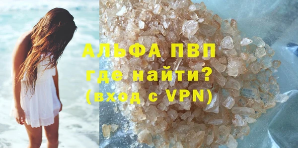 индика Краснотурьинск