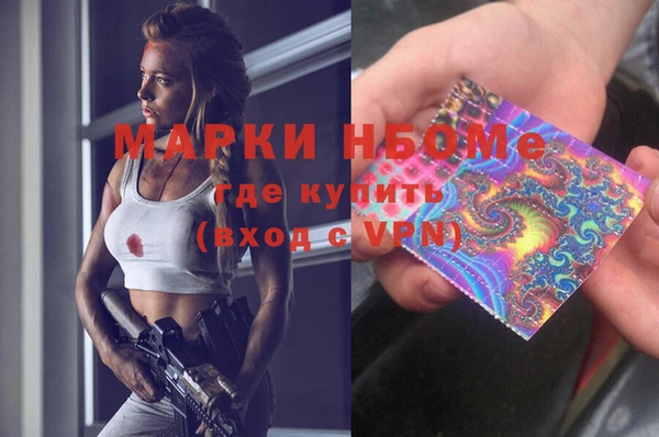 индика Краснотурьинск