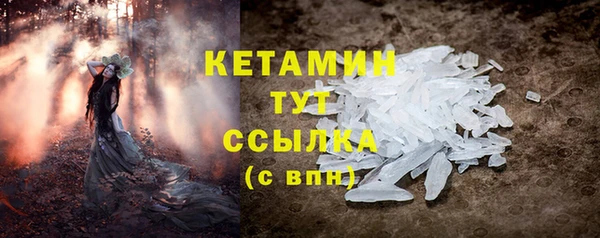 индика Краснотурьинск