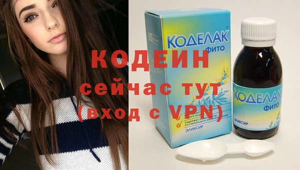 индика Краснотурьинск