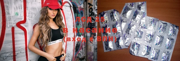 индика Краснотурьинск