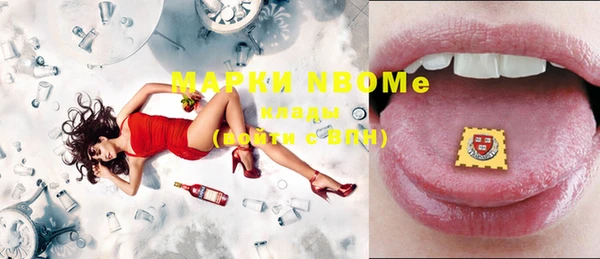 индика Краснотурьинск