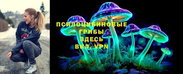 индика Краснотурьинск