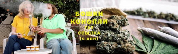 индика Краснотурьинск