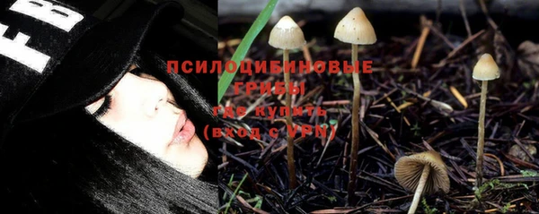 индика Краснотурьинск