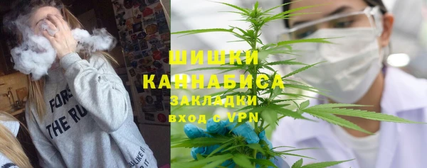 индика Краснотурьинск