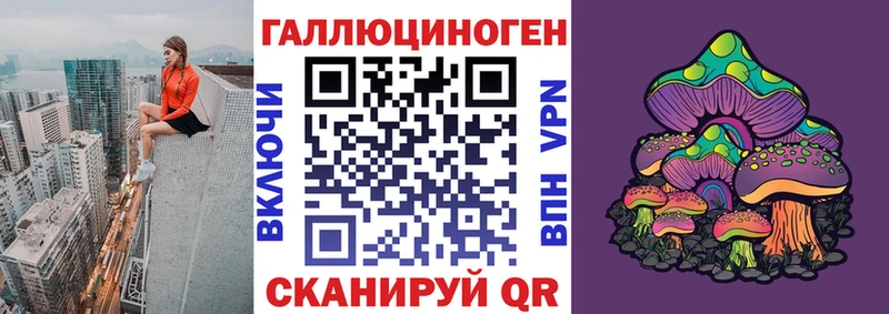 Галлюциногенные грибы GOLDEN TEACHER  Купить закладки  Краснознаменск 